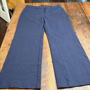 Lands' End Deep Blue Trousers women 10P
